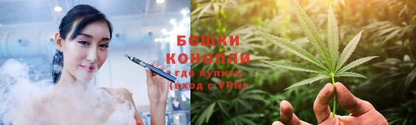 a pvp Пересвет