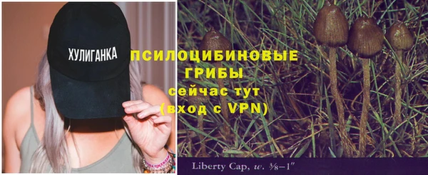 стаф Переславль-Залесский