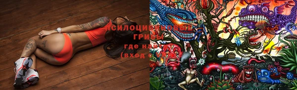 mix Абаза