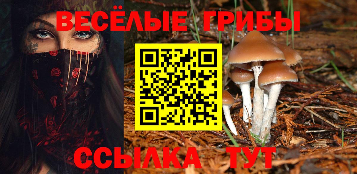 Галлюциногенные грибы Magic Shrooms Приморско-Ахтарск
