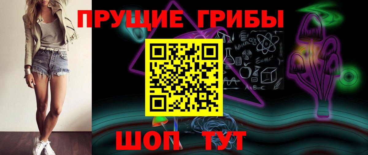 Приморско-Ахтарск  Псилоцибиновые грибы прущие грибы  Псилоцибиновые грибы GOLDEN TEACHER  Вход с VPN 